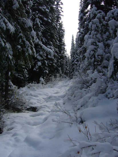Immer dem "Weg" folgen