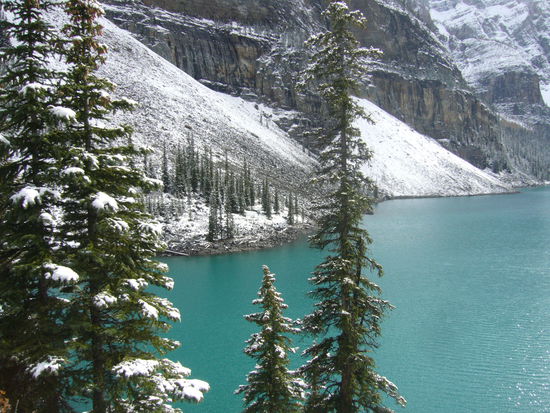 tolle Farbe, nicht wahr???