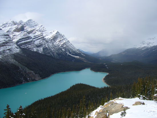Lake Peyto