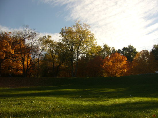 Indian Summer im Park Mont-Royal