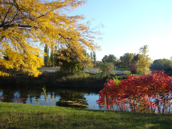 Jardin des Floralies auf der Ile St.Helene