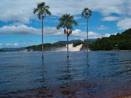 Typisches Bild von Canaima