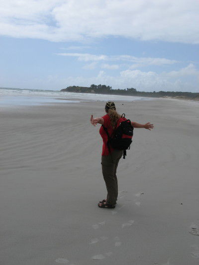 Busfahrt zum Cape Reinga