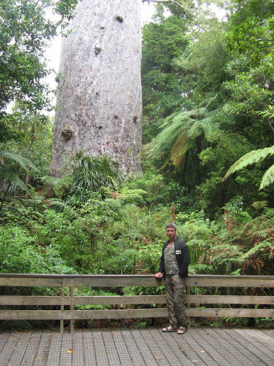 "Tane Mahuta"