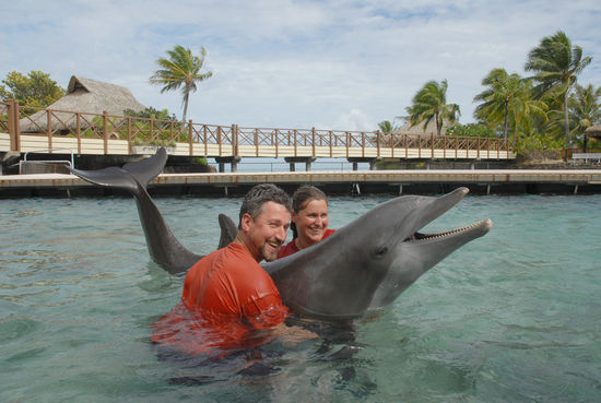 Dolphin-Center in Hotel Intercontinental