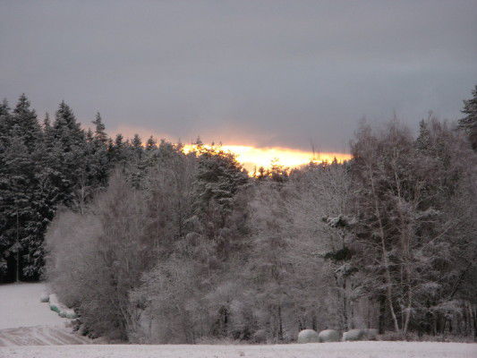 Winter im Fichtelgebirge