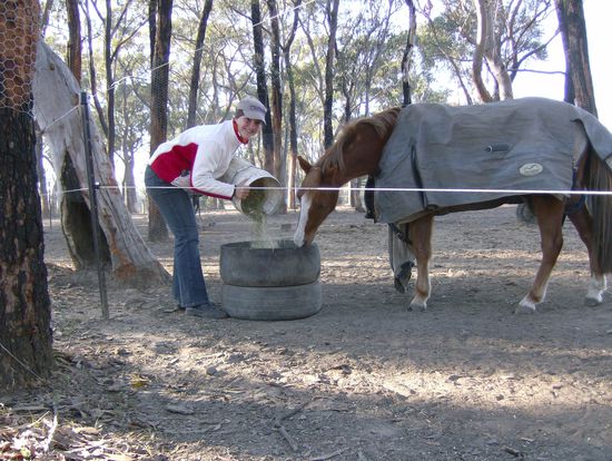 Pferde fuettern
...Hier zusehen: Disney...