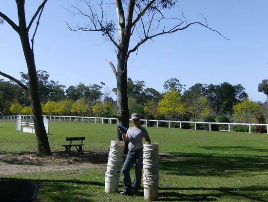 den Zaun im Hintergrund hab ich uebrigens auch weiss gestrichen 
