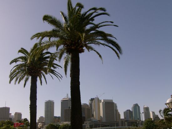Ausblick vom Citybeach