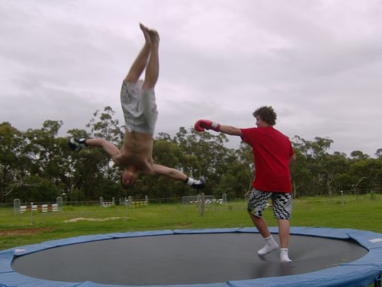 Das alljaehrlich 
Christmas-Trampolin-Boxing