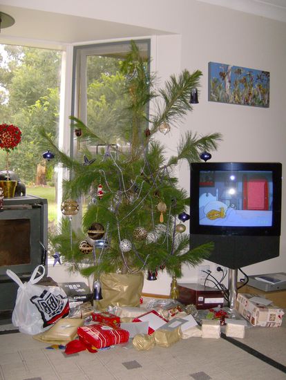 unser Weihnachtsbaum  (Der wurde -wie bei uns Zuhaus- noch schnell am letzten Tag besorgt... Die Jungs ahben sich total aufgeregt, weil sie meinten, dass man so einen Zweig/Busch nicht als Christmastree bezeichnen koennte... Maison war davon ueberzeugt, das der Baum nicht mehr auf den Lkw gepasst hat und hinter dem Wagen her gezogen wurde. Harrison war der Meinung, dass der baum noch nicht mal das Verrotten im garten verdient haette, er wollte ihn direkt nach Weihnachten verbrennen  Wie ihr seht grosse Aufregung im Hause Boon... und ich hab mich einfach nur gefreut, den lieblichen Tannenduft, selbst in Australien, an Weihnachten riechen zu koennen... 