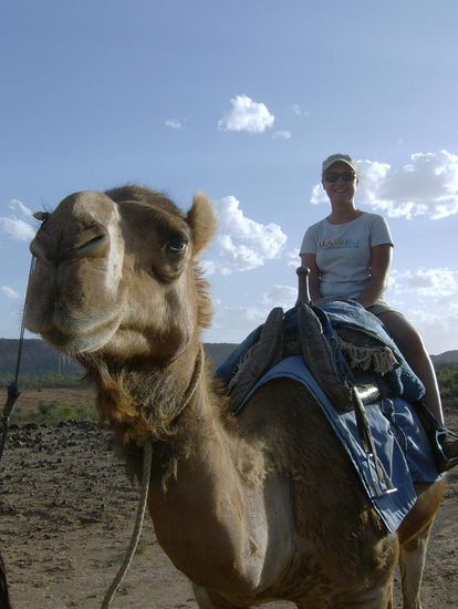 Darf ich vorstellen?! Owen! 