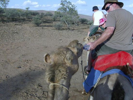 Owen hatte ein wenig durst... 