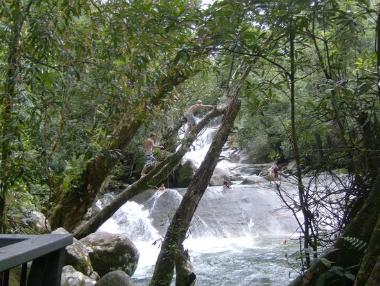 die "local Boys" springen auch mal gerne von den umliegenden Baeumen und skaten auf den Fuessen die Rurschbahn herunter...