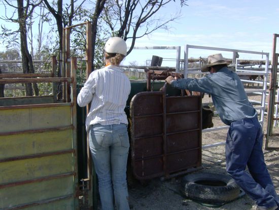 Ausserdem muss dafuer gesorgt werden das es immer weiter geht, in der Reihe...manchmal hilft da nur schieben...und da belibt dann eine Hand voll...