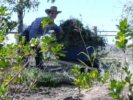 mein Rekord liegt bei 375 Minuten an einem Tag (Pausen sind schon abgezogen) 