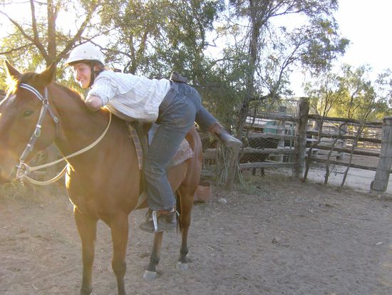 Alles erledigt, alle Rinder im Yard, Unkraut gezupft...