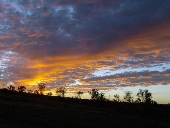 ...GUte Nacht! bis bald 