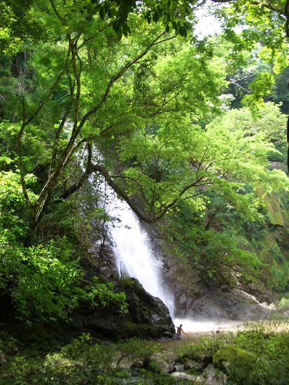 Ja, ja... so was sieht man nur auf Reisen