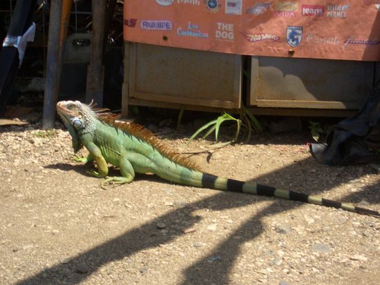 Auf der Fahrt entdeckt! 