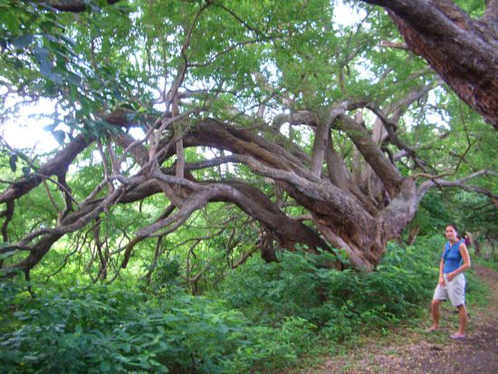 Wie im Märchen oder???