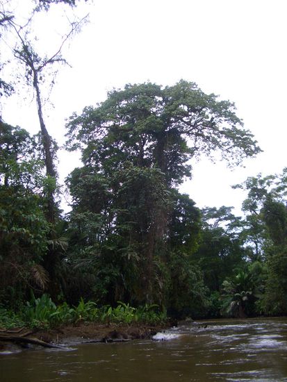 Natur wohin man sieht....