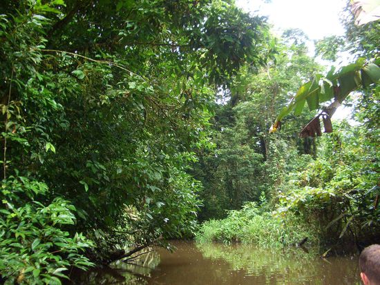 Geiles Bild, aber es kommt nicht soooo rueber wie es tatsaechlich war...