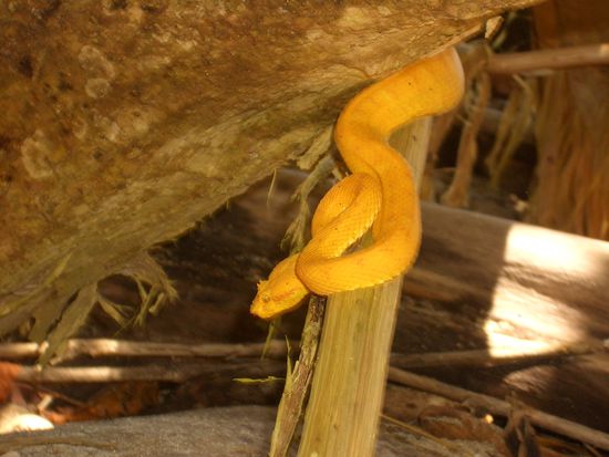Na, wie waere es mit einem neuen Haustier, Bestellungen werden gerne entgegen genommen!