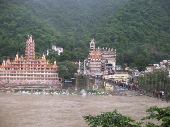 Fussgaengerbruecke, jedoch auch von Affen, Kuehen, Mofas, Raedern und Hunden benutzt...
