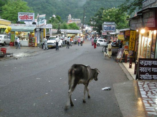 Strasse in Rishikesh...