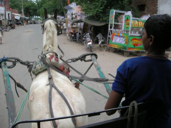 Die Pferdekutsche bringt uns zu unserem Bus