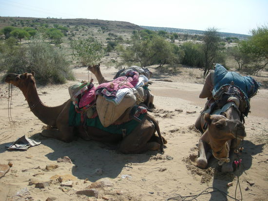 Beim Absitzen und der wohlverdienten Pause... Warten zum Absatteln