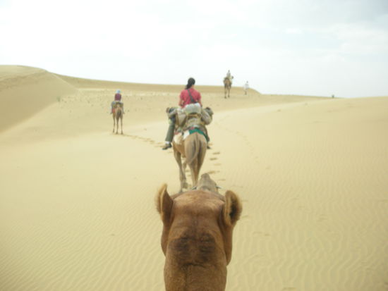 Blick auf die Karawana (der schoenheitskoenig Lalu muss seinen Kopf wieder in die Kamera halten ))