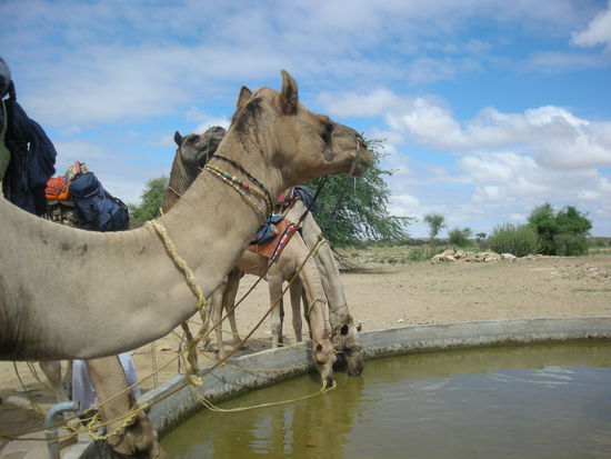 Beim (raren) Wasser trinken