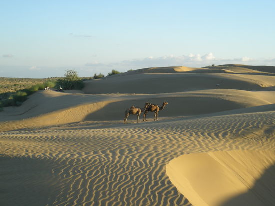 Am Abend in der Naehe unseres Nachtlagers