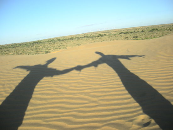 Schattenbilder, haben ganz viele davon gemacht. Wenn wir unsere Bilder mal drehen koenne, gibts mehr davon!