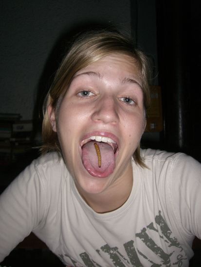 Bilderstory: Lecker Mehlwurm?