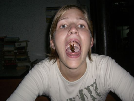 Chrissi hat sie nicht gegessen. Nur drauf rumgekaut und angeekelt wieder ausgespuckt... 