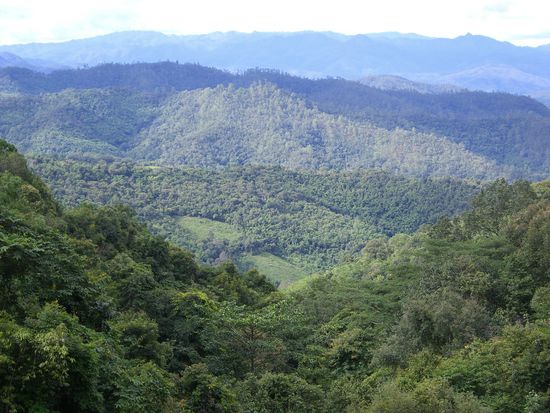 Da hinten kann man Burma sehen  Cool, was?