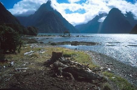 Milford Sound (Fjordland ganz im Sueden)