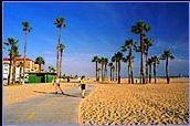 Venice Beach flair!
