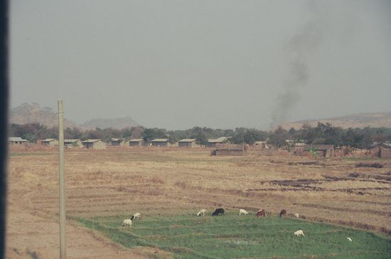 Blick aus dem Zug auf das Land