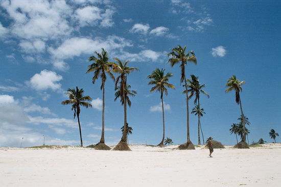 Strand in Dar... (live is so hard)