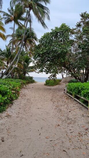 Ft. Lauderdale Beach