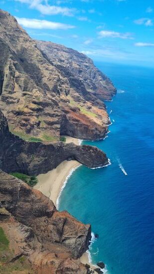 Seht ihr die Fels-Schildkröte?!