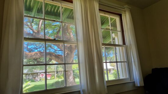 So möchte ich gern jeden Morgen aufwachen...