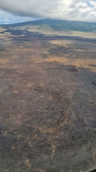 Ziemlich trostlos...