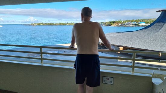 Delphine beobachten!