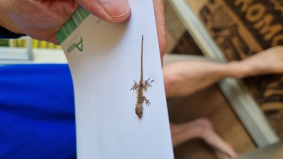 Kleiner Besucher im Hotelzimmer...