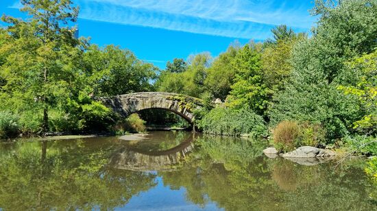 Es kann nur einen geben....